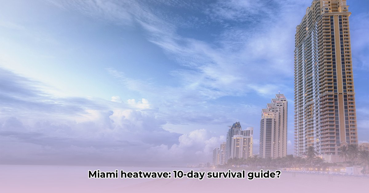 miami-temperature